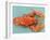 A Cooked Lobster-Alain Caste-Framed Photographic Print