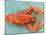 A Cooked Lobster-Alain Caste-Mounted Photographic Print