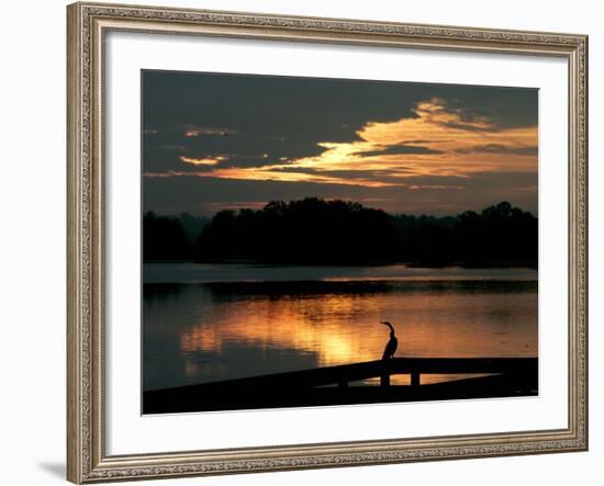 A Cormorant is Silhouetted Against the Waters of Lake Talquin-null-Framed Photographic Print