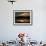 A Cormorant is Silhouetted Against the Waters of Lake Talquin-null-Framed Photographic Print displayed on a wall