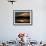 A Cormorant is Silhouetted Against the Waters of Lake Talquin-null-Framed Photographic Print displayed on a wall