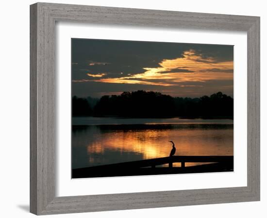 A Cormorant is Silhouetted Against the Waters of Lake Talquin-null-Framed Photographic Print