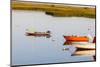 A Cormorant Opens its Wings on a Skiff in Pamet Harbor in Truro, Massachusetts-Jerry and Marcy Monkman-Mounted Photographic Print