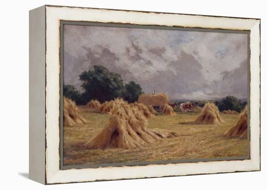 A Cornfield at Harlow, Essex-Henry Parker-Framed Premier Image Canvas