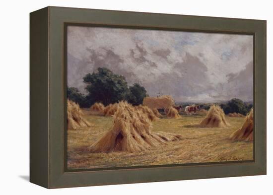 A Cornfield at Harlow, Essex-Henry Parker-Framed Premier Image Canvas