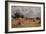 A Cornfield at Harlow, Essex-Henry Parker-Framed Giclee Print