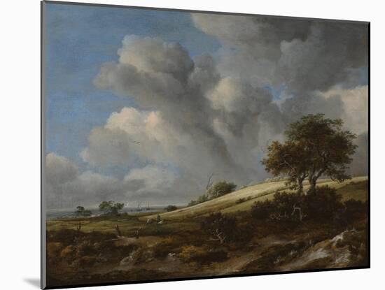 A Cornfield with the Zuiderzee in the Background, C. 1660-Jacob Isaacksz Van Ruisdael-Mounted Giclee Print