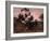 A Corrobery of Natives in Mill's Plains, 1832-John Glover-Framed Giclee Print