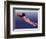 A cosmetic box for storing ointment in the form of a naked female swimmer-Werner Forman-Framed Giclee Print