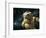 A Cosmonaut Against a Background of Stars-Stocktrek Images-Framed Photographic Print