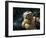 A Cosmonaut Against a Background of Stars-Stocktrek Images-Framed Photographic Print