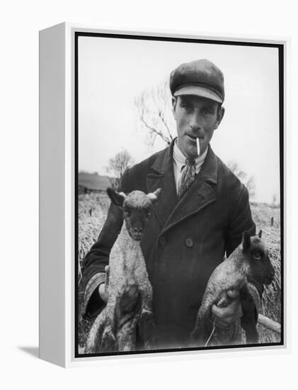 A Cotswolds Farmer Holds Two New-Born Lambs-Henry Grant-Framed Premier Image Canvas