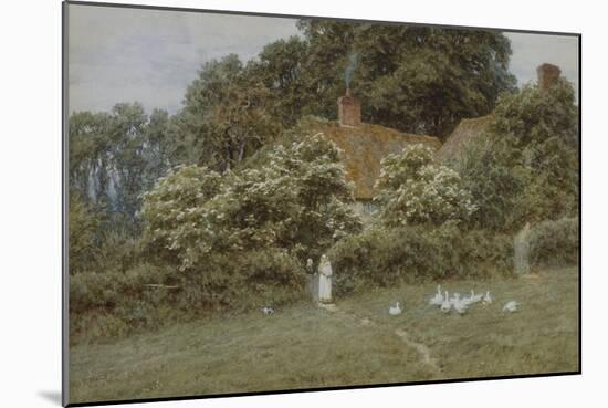 A Cottage at Farringford, Isle of Wight-Helen Allingham-Mounted Giclee Print