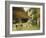 A Cottage in Brooklyn-James Wells Champney-Framed Giclee Print