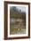 A Cottage Near Godalming, Surrey-Helen Allingham-Framed Giclee Print