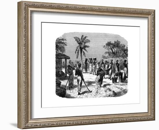 A Cotton Plantation, C1880-null-Framed Giclee Print