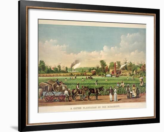 A Cotton Plantation on the Mississippi, Pub. 1884-William Aiken Walker-Framed Giclee Print