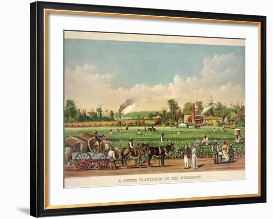 A Cotton Plantation on the Mississippi, Pub. 1884-William Aiken Walker-Framed Giclee Print