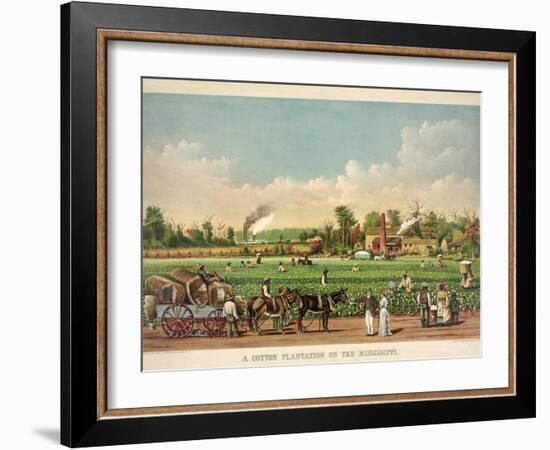 A Cotton Plantation on the Mississippi, Pub. 1884-William Aiken Walker-Framed Giclee Print