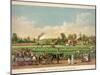 A Cotton Plantation on the Mississippi, Pub. 1884-William Aiken Walker-Mounted Giclee Print