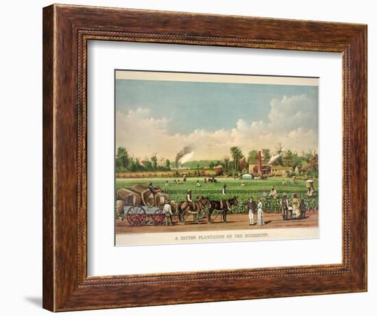 A Cotton Plantation on the Mississippi, Pub. 1884-William Aiken Walker-Framed Giclee Print