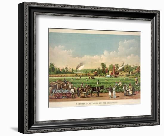 A Cotton Plantation on the Mississippi, Pub. 1884-William Aiken Walker-Framed Giclee Print