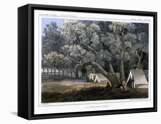 A Cotton Wood Grove, 1856-John Mix Stanley-Framed Premier Image Canvas