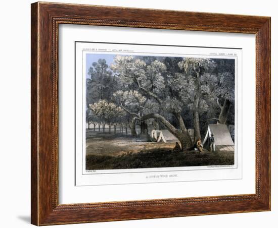 A Cotton Wood Grove, 1856-John Mix Stanley-Framed Giclee Print