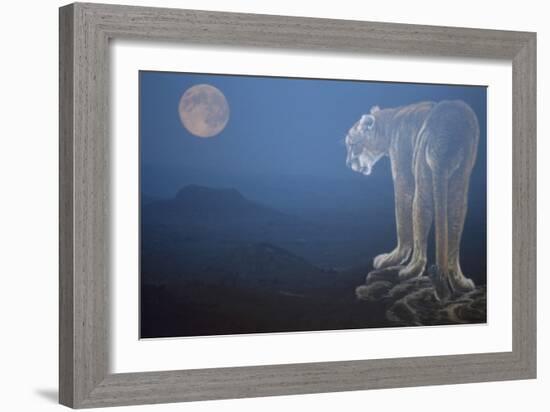 A Cougar Stands on a Cliff Ledge, Surveying the Mountains Surrounding It-Gordon Semmens-Framed Giclee Print