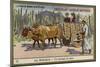 A Country Ox Cart, Mexico-null-Mounted Giclee Print