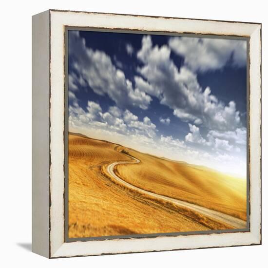 A Country Road in Field Against Moody Sky, Tuscany, Italy-null-Framed Premier Image Canvas