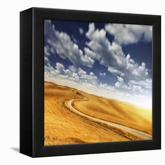 A Country Road in Field Against Moody Sky, Tuscany, Italy-null-Framed Premier Image Canvas