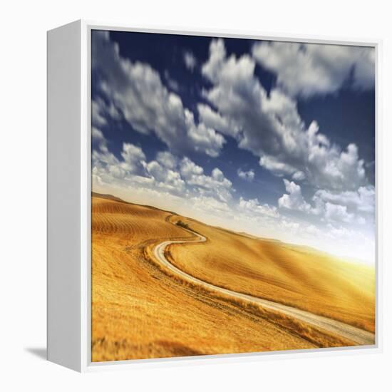 A Country Road in Field Against Moody Sky, Tuscany, Italy-null-Framed Premier Image Canvas