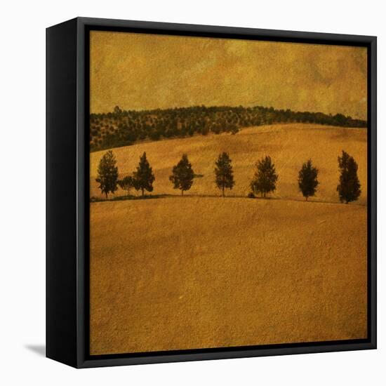 A Countryside View with a Row of Trees-Trigger Image-Framed Premier Image Canvas