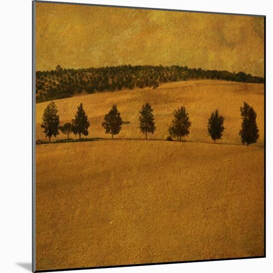 A Countryside View with a Row of Trees-Trigger Image-Mounted Photographic Print