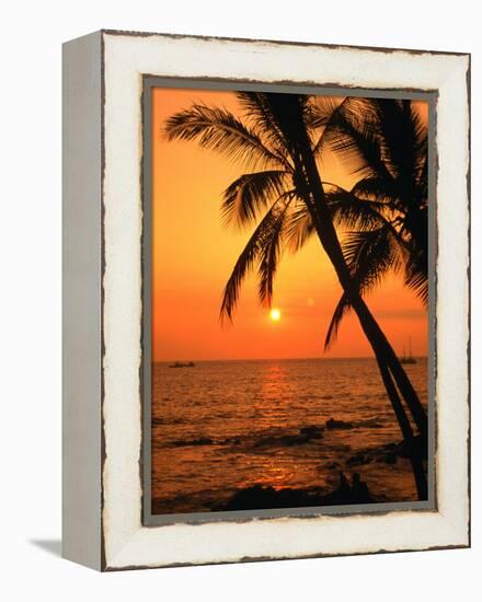 A Couple in Silhouette, Enjoying a Romantic Sunset Beneath the Palm Trees in Kailua-Kona, Hawaii-Ann Cecil-Framed Premier Image Canvas