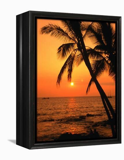 A Couple in Silhouette, Enjoying a Romantic Sunset Beneath the Palm Trees in Kailua-Kona, Hawaii-Ann Cecil-Framed Premier Image Canvas