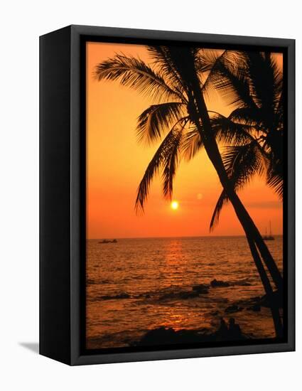 A Couple in Silhouette, Enjoying a Romantic Sunset Beneath the Palm Trees in Kailua-Kona, Hawaii-Ann Cecil-Framed Premier Image Canvas