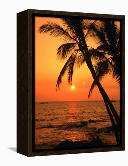 A Couple in Silhouette, Enjoying a Romantic Sunset Beneath the Palm Trees in Kailua-Kona, Hawaii-Ann Cecil-Framed Premier Image Canvas