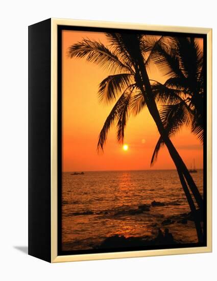 A Couple in Silhouette, Enjoying a Romantic Sunset Beneath the Palm Trees in Kailua-Kona, Hawaii-Ann Cecil-Framed Premier Image Canvas