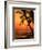 A Couple in Silhouette, Enjoying a Romantic Sunset Beneath the Palm Trees in Kailua-Kona, Hawaii-Ann Cecil-Framed Photographic Print