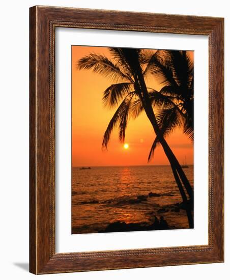 A Couple in Silhouette, Enjoying a Romantic Sunset Beneath the Palm Trees in Kailua-Kona, Hawaii-Ann Cecil-Framed Photographic Print