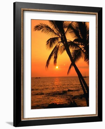 A Couple in Silhouette, Enjoying a Romantic Sunset Beneath the Palm Trees in Kailua-Kona, Hawaii-Ann Cecil-Framed Photographic Print