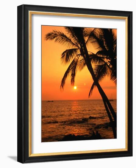 A Couple in Silhouette, Enjoying a Romantic Sunset Beneath the Palm Trees in Kailua-Kona, Hawaii-Ann Cecil-Framed Photographic Print