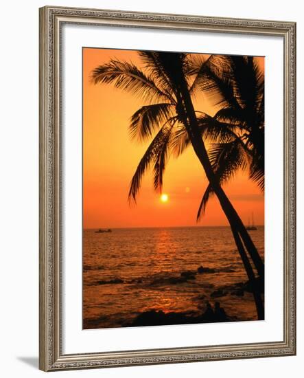 A Couple in Silhouette, Enjoying a Romantic Sunset Beneath the Palm Trees in Kailua-Kona, Hawaii-Ann Cecil-Framed Photographic Print