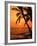 A Couple in Silhouette, Enjoying a Romantic Sunset Beneath the Palm Trees in Kailua-Kona, Hawaii-Ann Cecil-Framed Photographic Print