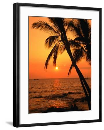 'A Couple in Silhouette, Enjoying a Romantic Sunset Beneath the Palm ...