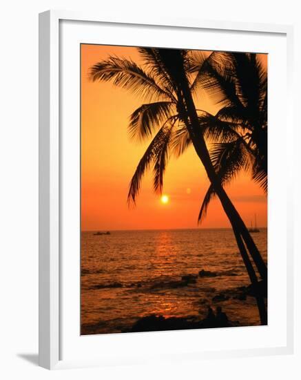 A Couple in Silhouette, Enjoying a Romantic Sunset Beneath the Palm Trees in Kailua-Kona, Hawaii-Ann Cecil-Framed Photographic Print