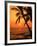 A Couple in Silhouette, Enjoying a Romantic Sunset Beneath the Palm Trees in Kailua-Kona, Hawaii-Ann Cecil-Framed Photographic Print