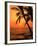 A Couple in Silhouette, Enjoying a Romantic Sunset Beneath the Palm Trees in Kailua-Kona, Hawaii-Ann Cecil-Framed Photographic Print